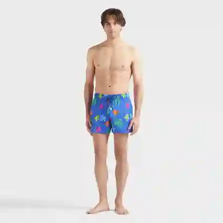 صورة Erkek Tortues Multicolores Monrise Mayo